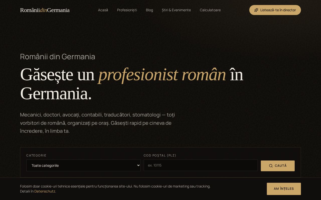 Website romaniidingermania.de